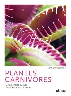 plantes carnivores : comment les cultiver et les entretenir facilement