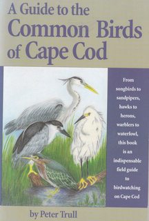 A guide to the common birds of Cape Cod