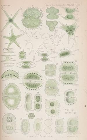 Imagen del vendedor de The Journal of the Linnean Society. [Botany] Volume XXI. December 1882 - April 1884 - January 1886 a la venta por Barter Books Ltd