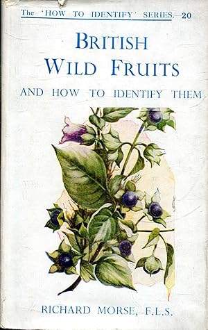 British Wild Fruits and How to Identify Them
