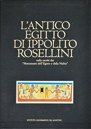 Bild des Verkufers fr L'antico Egitto di Ippolito Rosellini zum Verkauf von librisaggi