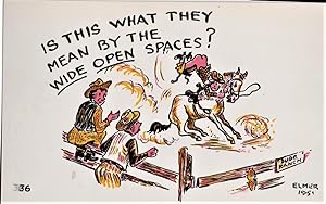 Imagen del vendedor de cowboy postcard: Is This What They Mean By the Wide Open Spaces? a la venta por Mobyville