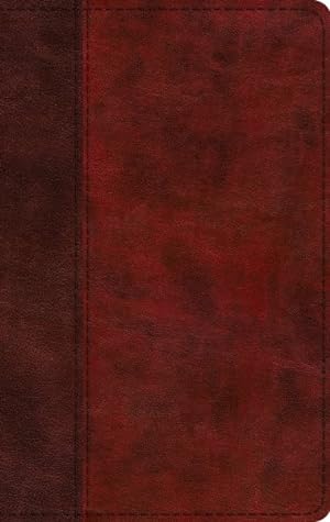 Image du vendeur pour Holy Bible : English Standard Version, Trutone, Burgundy/Red, Timeless Design mis en vente par GreatBookPrices