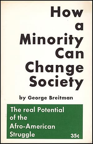 How a Minority Can Change Society: The Real Potential of the Afro-American Struggle