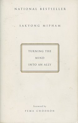 Seller image for Turning the Mind Into an Ally for sale by Kenneth A. Himber