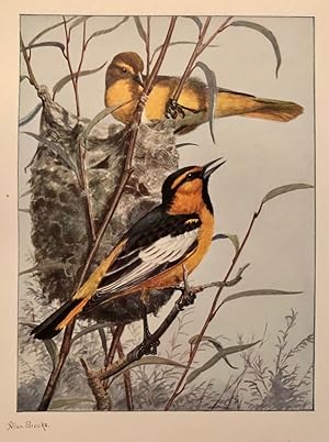 The Birds of Washington [Limited Large Paper Edition in Two Volumes, SIGNED by Dawson] A Complete...