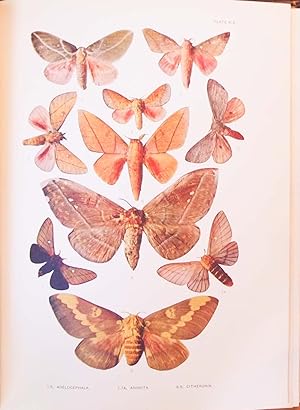 A Monograph of the Bombycine Moths of America North of Mexico including their transformations, th...