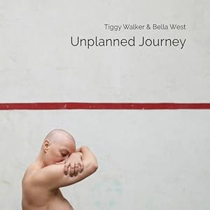 Immagine del venditore per Unplanned Journey venduto da WeBuyBooks