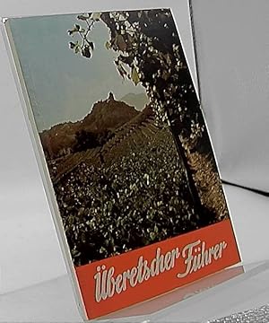 Imagen del vendedor de Illustrierter beretscher Fhrer a la venta por Antiquariat Unterberger