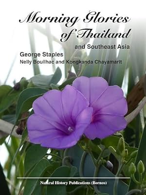 Morning Glories of Thailand and Southeast Asia