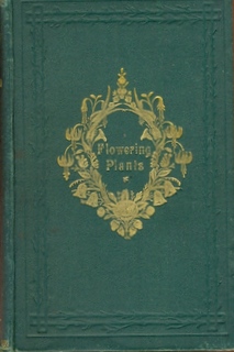 The Flowering Plants of Great Britain Volume III [of 3]