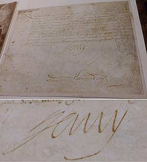 Heinrich IV. (1553-1610), König von Frankreich: Fischereikonzession auf Pergament für Adam du Pui...