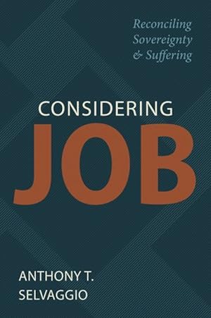 Seller image for Considering Job: Reconciling Sovereignty and Suffering by Anthony Selvaggio for sale by James A. Dickson Books
