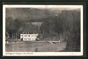 Ansichtskarte Pleystein /Bay. Ostmark, Hotel-Pension Zottbachhaus