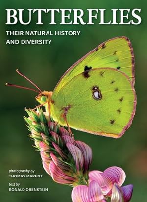 Seller image for Butterflies: Their Natural History and Diversity by Orenstein, Ronald [Paperback ] for sale by booksXpress