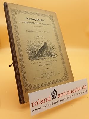 Seller image for Naturgeschichte in Lebensgemeinschaften und Gruppenbildern fr gehobene Schulen 1. Teil I. u. II. Stufe for sale by Roland Antiquariat UG haftungsbeschrnkt