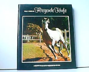 Seller image for Fliegende Hufe - Ein Buch ber Pferde. for sale by Antiquariat Kirchheim