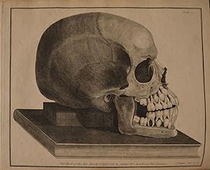 The Natural History and Diseases of the Human Teeth. Second enlarged edition with 23 copper engra...