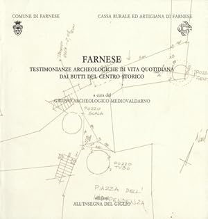 Bild des Verkufers fr Farnese. Testimonianze archeologiche di vita quotidiana dai butti del centro storico. zum Verkauf von FIRENZELIBRI SRL