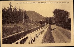 Bild des Verkufers fr Ansichtskarte / Postkarte Molhain Ardennes, Promenade vers le vieux Pont zum Verkauf von akpool GmbH