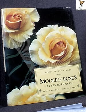 Modern Roses