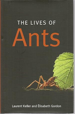 The Lives of Ants