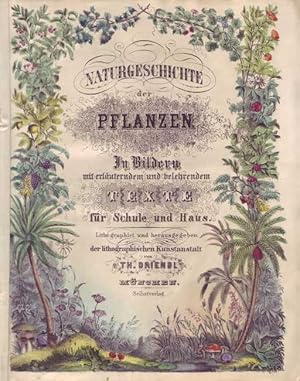 Bild des Verk�ufers f�r Naturgeschichte der Pflanzen in Bildern. Mit erl�uterndem und belehrendem Texte f�r Schule und Haus. zum Verkauf von Aegis Buch- und Kunstantiquariat