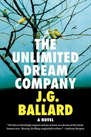 Seller image for Unlimited Dream Company for sale by GreatBookPricesUK