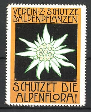 Immagine del venditore per Knstler-Reklamemarke Schtzet die Alpenflora, Verein zum Schutze der Alpenpflanzen venduto da Bartko-Reher