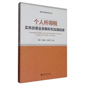 Imagen del vendedor de Personal income tax practical policy holographic analysis and practical guide/tax dictionary series(Chinese Edition) a la venta por liu xing