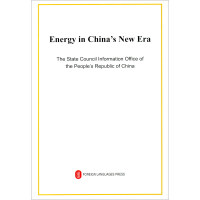 Immagine del venditore per China's Energy Development in the New Era (English)(Chinese Edition) venduto da liu xing