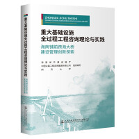 Immagine del venditore per Theory and Practice of Engineering Consultation in the Whole Process of Major Infrastructure(Chinese Edition) venduto da liu xing