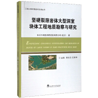 Image du vendeur pour Large-scale cavern block engineering geological survey and research in hard fractured rock mass/Three Gorges Project survey technology summary series(Chinese Edition) mis en vente par liu xing