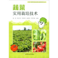 Imagen del vendedor de Vegetable Practical Cultivation Technology/Chinese Academy of Engineering Science and Technology Poverty Alleviation Vocational Education Series(Chinese Edition) a la venta por liu xing
