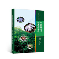 Seller image for Handbook of Common Wild Plants in Yunnan Plateau(Chinese Edition) for sale by liu xing