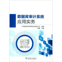 Imagen del vendedor de Application Practice of Database Audit System(Chinese Edition) a la venta por liu xing