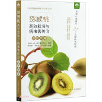 Imagen del vendedor de Color Atlas of Kiwi Fruit Efficient Cultivation and Pest Control(Chinese Edition) a la venta por liu xing