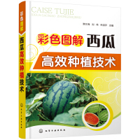 Immagine del venditore per Color graphic watermelon high-efficiency planting technology (full color. practical. written by well-known experts)(Chinese Edition) venduto da liu xing