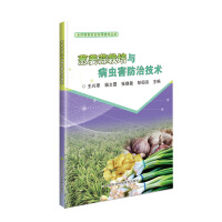 Immagine del venditore per Cultivation of Onion. Ginger and Garlic and Controlling Techniques of Diseases and Pests(Chinese Edition) venduto da liu xing