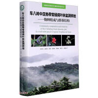 Image du vendeur pour Chebaling Central Subtropical Evergreen Broad-leaved Forest Monitoring Plot-Species Composition and Community Structure (Biological Diversity Protection Series of National Nature Reserves)(Chinese Edition) mis en vente par liu xing