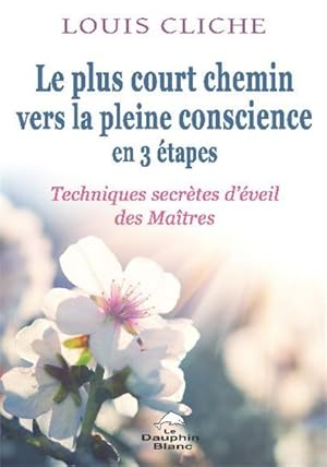 le plus court chemin vers la pleine conscience en 3 étapes ; techniques secrètes d'éveil des maîtres