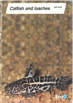 Immagine del venditore per Catfish and Loaches venduto da Eaglestones