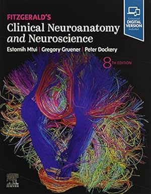 Seller image for Fitzgerald's Clinical Neuroanatomy and Neuroscience by Mtui MD, Estomih, Gruener MD MBA, Gregory, Dockery BSc PhD, Peter [Paperback ] for sale by booksXpress