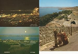 Capharnaum Tiberias Camel Haifa 4x Israel Postcard s