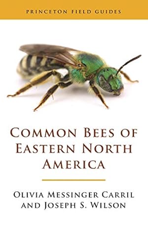 Bild des Verkufers fr Common Bees of Eastern North America (Princeton Field Guides, 151) by Wilson, Joseph S., Carril, Olivia Messinger [Paperback ] zum Verkauf von booksXpress