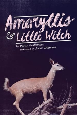 Seller image for Amaryllis & Little Witch by Brullemans, Pascal [Paperback ] for sale by booksXpress