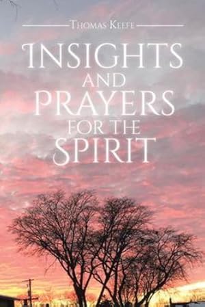 Seller image for Insights and Prayers for the Spirit by Keefe, Thomas [Paperback ] for sale by booksXpress