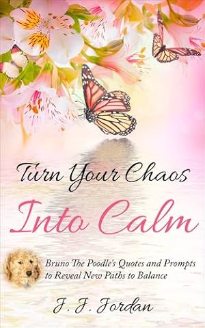 Immagine del venditore per Turn Your Chaos Into Calm (Lifestyle Journal) [Soft Cover ] venduto da booksXpress