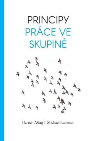 Immagine del venditore per Principy Pr¡ce Ve Skupin (Czech Edition) by Ashlag, Baruch Rabash [Paperback ] venduto da booksXpress