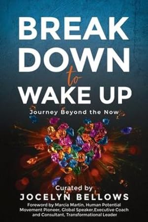 Seller image for Break Down to Wake Up: Journey Beyond the Now [Soft Cover ] for sale by booksXpress